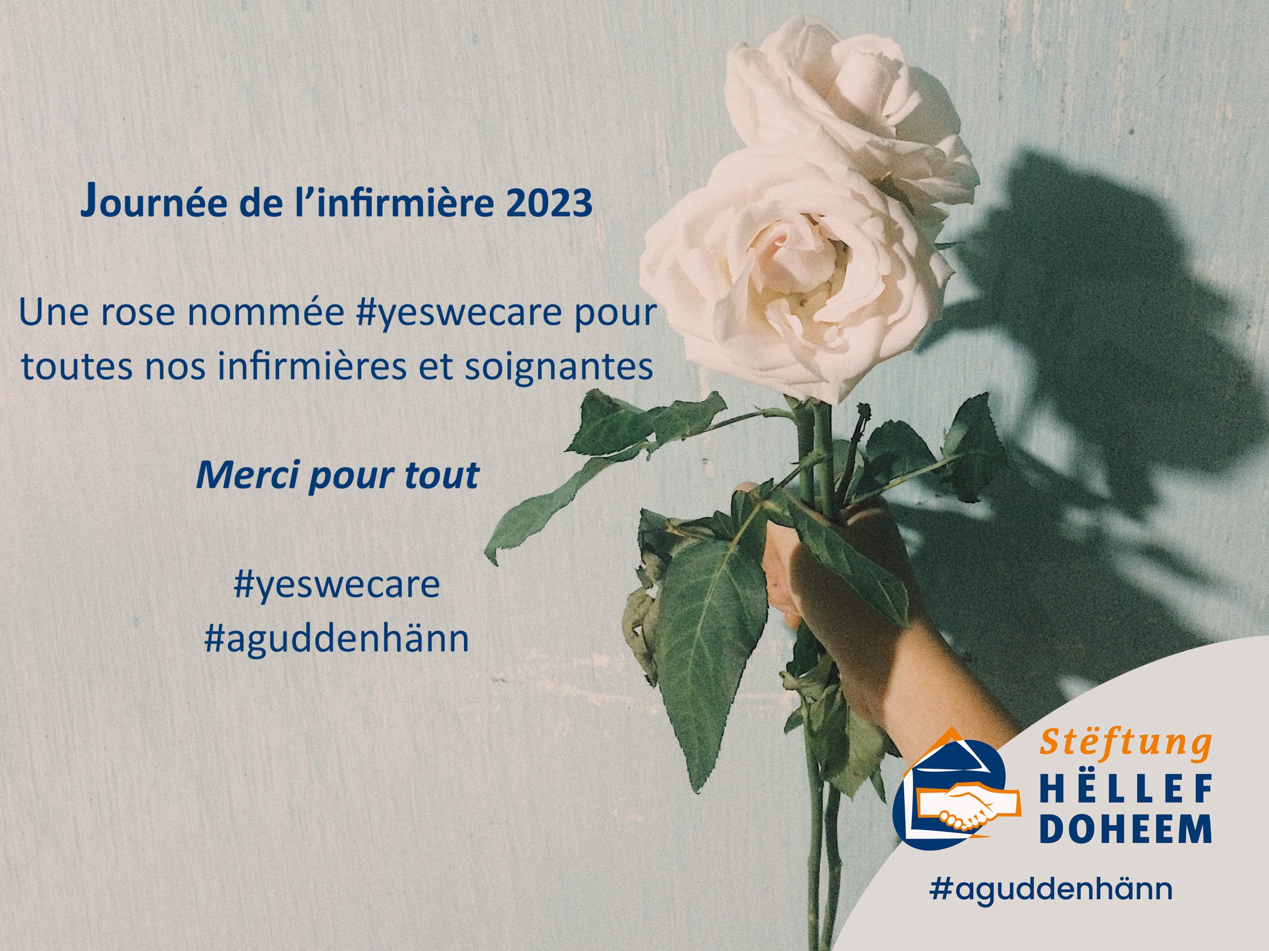 Rose blanche nommée #yeswecare